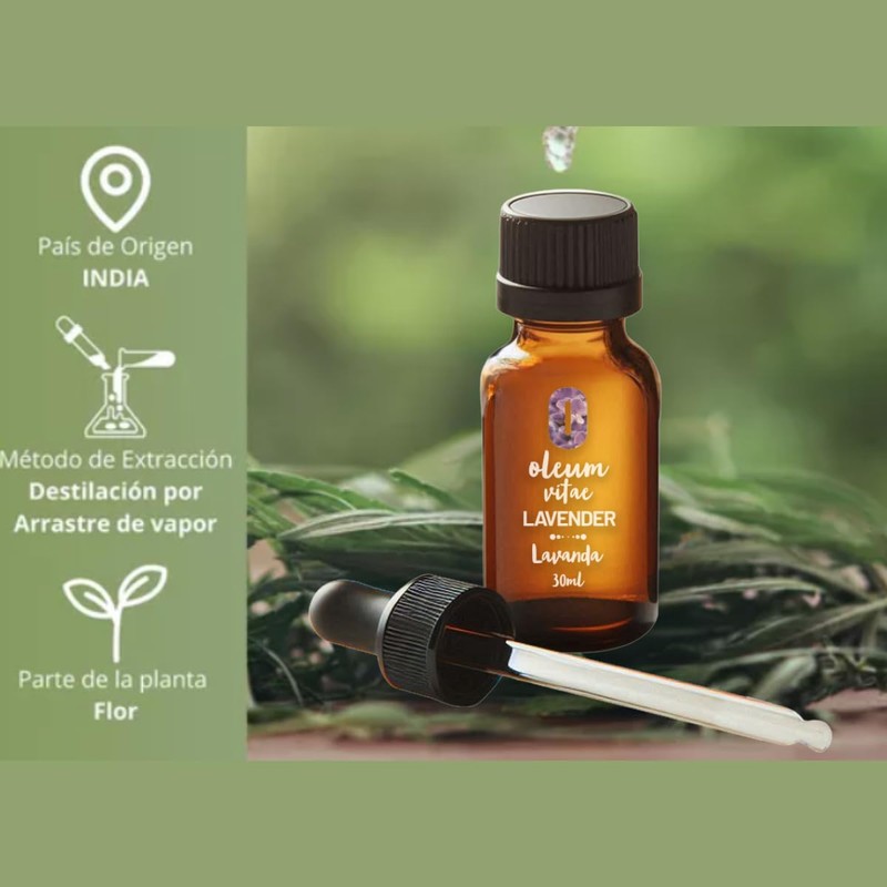 OLEUM VITAE Aceite Esencial de Lavanda 30ml. Lavandula Angustifolia. 100%