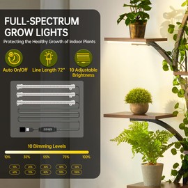 Plant Stand Indoor with Grow Lights, 8 Tiered Indoor Plant Shelf, 62" Tall Metal Plant Stand for Indoor Plants Multiple, Plant Display Rack Holder, Flower Corner Stand for Living Room, Garden, Patio