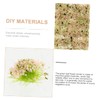 Operitacx 2 Boxes Grass Shed Simulation Grass Cluster Botanical Decor