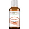 Copaiba Essential Oil 1 oz / 30 ml 100% Pure