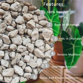 Horticultural Pumice for Plants 2QT, Natural Organic Pumice Stones for Succulent Cactus Bonsai Tree Orchid Potting Mixed, Improves Soil Aeration and Drainage, Promotes Root