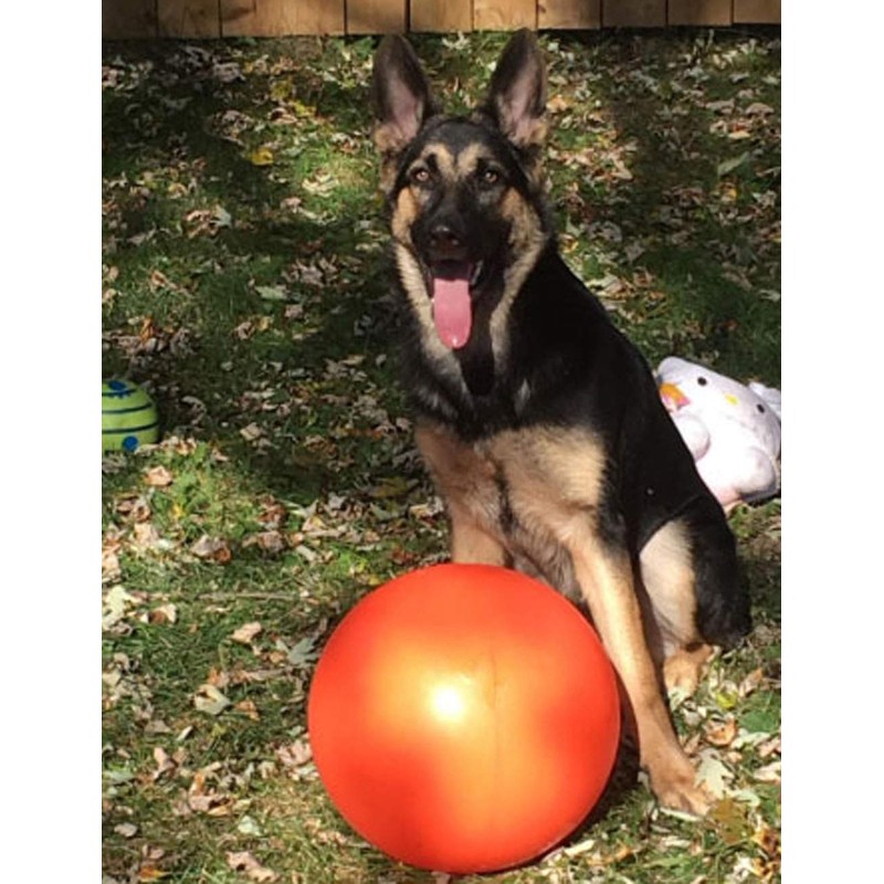 Doggie Dooley B00CIT99BC Virtually Indestructible Best Ball (hard plastic, colors