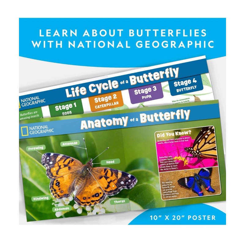 NATIONAL GEOGRAPHIC Butterfly Growing Kit - Butterfly Habitat Kit with