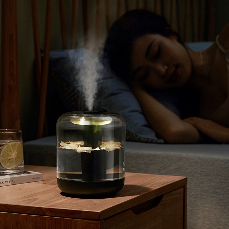 1000ml 1L Aromatherapy Diffuser Fine Spray Humidifier for Bedroom Household