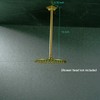 SEABEFORE 16" Ceiling Mounted Shower Arm Brushed Gold Shower Head