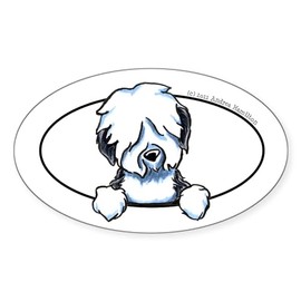 CafePress Old English Sheepdog Peeking Bumper Oval Car Bumper Sticker