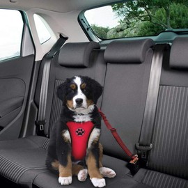 SlowTon Dog Seat Belt Harness for Car, Dog Car Harness Adjustable Mesh Breathable & Dog Seatbelt Safety Tether with Elastic Bungee for Small Medium Large Pets(Red Seatbelt, Single Clip, XXXS)