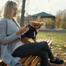 Dolahovy Dog Hoodie Clothes for Pets Dog Jumper Vest Autumn Winter Dog Jumper Puppy Costumes Coats Dog Outfit for Small Medium Dogs Cats Chihuahua Teddy