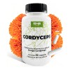 5h8 Hongo Cordyceps Energía Vitalidad Cápsulas 400mg Sabor