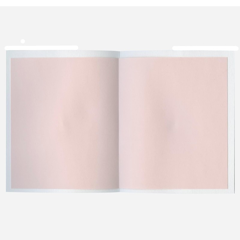 Lab Clip Card Mizuhiki Works Message Card Pink MWMC02-S1