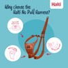 HALTI No Pull Harness - To Stop Your Dog Pulling
