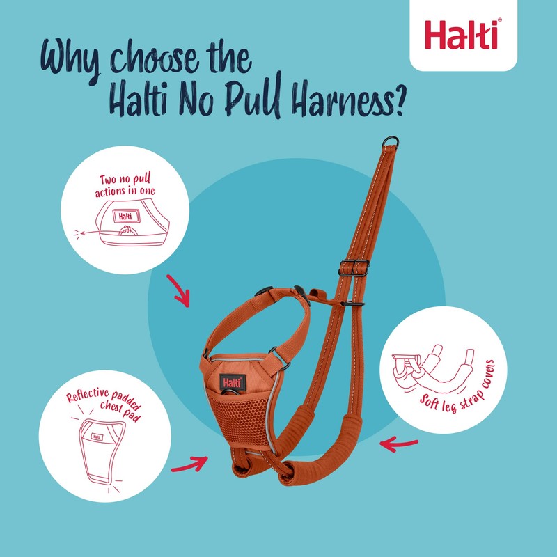 HALTI No Pull Harness - To Stop Your Dog Pulling