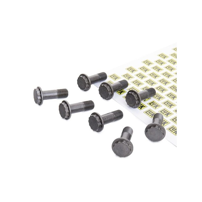 LUK 411017310 Flywheel Screw Set
