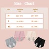 Women's Washable Incontinence Underwear 4 Pack, Leakproof Ladies Panties High