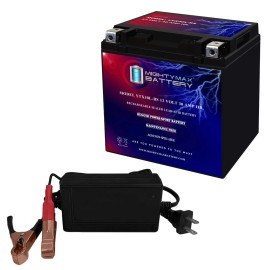 Mighty Max YTX30L-BS 12V 30AH Power Sport Series SLA Battery + 12V 4Amp Charger