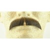 Basic Character Moustache MEDIUM BROWN - Spirit Gum Included -100%