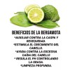 Alazán Shampoo De Bergamota Alazán, Pack 3 Pz. De 1