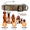 Collares de perro con estampado animal nativo (mediano, leopardo)