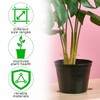 Zalizr 5 PCS Plant Stem Support, Metal Monstera Stabilizer Grapple