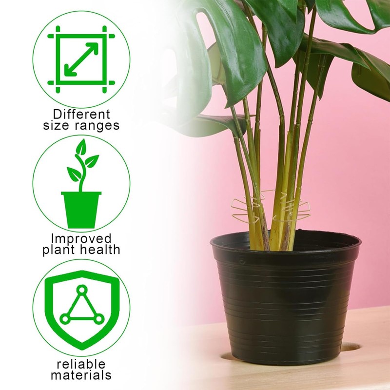 Zalizr 5 PCS Plant Stem Support, Metal Monstera Stabilizer Grapple