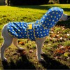 Dog Raincoat - Reversible Waterproof Dog Coat with Hood and