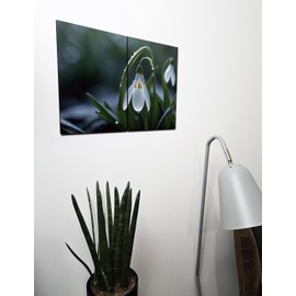 The Plum Penguin Rustic Wooden Snowdrop Wall Art, Dual A4 MDF Panels, Abstract Dewdrop Petal Print for Home Decor Canvas Alternative 40 x 30cm