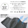 Charm, 2 Piece Set, Organic Cotton Mask, Made in Japan,