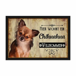 PR Print Royal Doormat for Pets with Dog Picture Chihuahua Long Hair - Gift Idea for Dog Lovers and Dog Owners - Size 75 x 50 cm