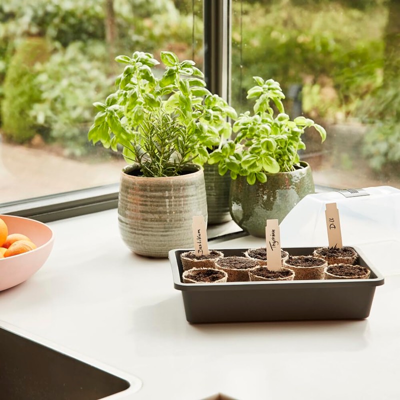 Siena Garden Midi-Grow Indoor Greenhouse 29 x 19 x 19