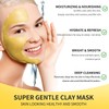 Hicream Turmeric Vitamin C Clay Mask with Kaolin Clay and