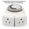 Clear Power 2-Outlet Indoor 24 Hour Mechanical Timer with Outdoor