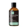 Eucalyptus Essential Oil, MAYJAM 30ML/1.01FL.OZ Pure Eucalyptus Oils for Diffusers,