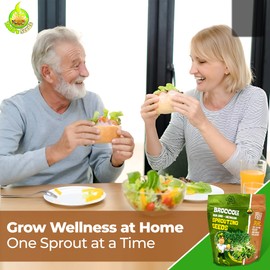 Todd’s Seeds - Alfalfa Sprouting Seeds - Easy to Grow Bulk Alfalfa - Fast Growing with High Sprout Germination (1/2 Pound)