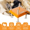 NUGRIART Brooder Heater for Chicks, 10" x 10" for 15