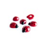 Trendform® Assorted Animal Style Office Magnets - Lady Bugs (1