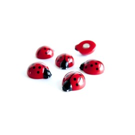Trendform® Assorted Animal Style Office Magnets - Lady Bugs (1 set of 6)