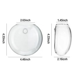 CHPINDAM Wall Hanging Planter Propagation Station, Oblate Glass Flower Vase for Propagation, Wall Planter for Indoor Plants, Modern Home Office Corridor Bathroom Decor (2)