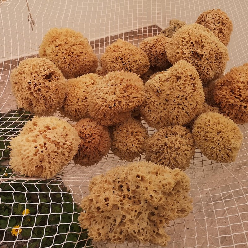 Natural Sponges with Cord & Glass Pendant - Unbleached Mediterranean