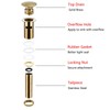 SWHYGER Champagne Bronze Sink Drain with Overflow,Brass Bathroom Sink 1