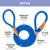 Petarea Petarea 5 FT Slip Lead Dog Leash, Heavy Duty