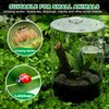 Jumping Spider Enclosure Starter Kit with Feeding Dish, Tarantula Terrariums