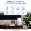 LEVOIT LEVOIT Air Purifier and Replacement Filter Bundle for Home