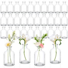 30 Pack Glass Bud Vases Bulk, 4.22 oz, Clear Small Mini Flower Vases for Centerpieces Decorative Glass Bottles Vintage Rustic Decoration for Wedding Dining Table Home Decor