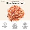 ProMix Nutrition Electrolytes Powder Hydration Packets | Himalayan Pink Salt,