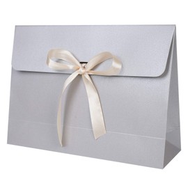 10Pcs Large Envelope Gift Box Present Bag, Cardboard Gift Box 29 * 20 * 9 cm with Lid & Satin Decorative Ribbon, Textured Christmas Birthday Present Boxes for Dress, Shirt, Scarf, Book, Accessories