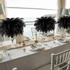 Tigeen 200 Pcs Ostrich Feathers Bulk, 12-14 Inch Large Natural