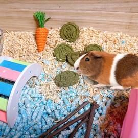 Hamiledyi 36Pcs Bunny Chew Toys Bunny Chew Toys for Teeth Grinding Natural Timothy Hay Grass Cakes for Rabbits Guinea Pigs Chinchillas Gerbils Hamsters Improves Dental Health