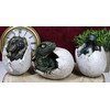 Ebros Gift Set of 3 Jurassic Era Predator Velociraptor and