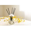 CULTURE & NATURE Reed Diffuser Set 6.7oz (200ml) Jasmine Scented