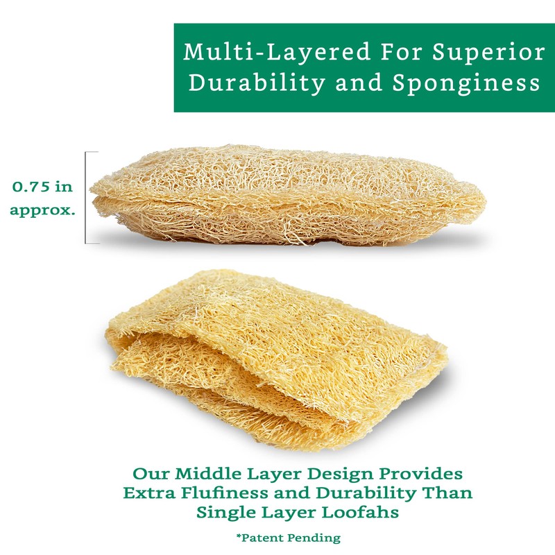 Natural Loofah Kitchen Sponge (3 Pack) - Natural Sponges for